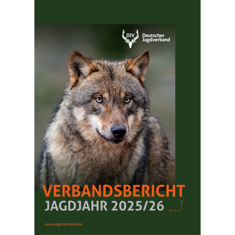 DJV Verbandsbericht 2025/2026