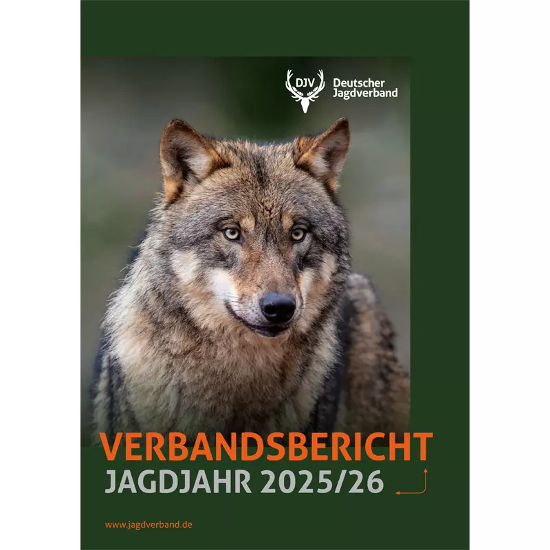 DJV Verbandsbericht 2025/2026