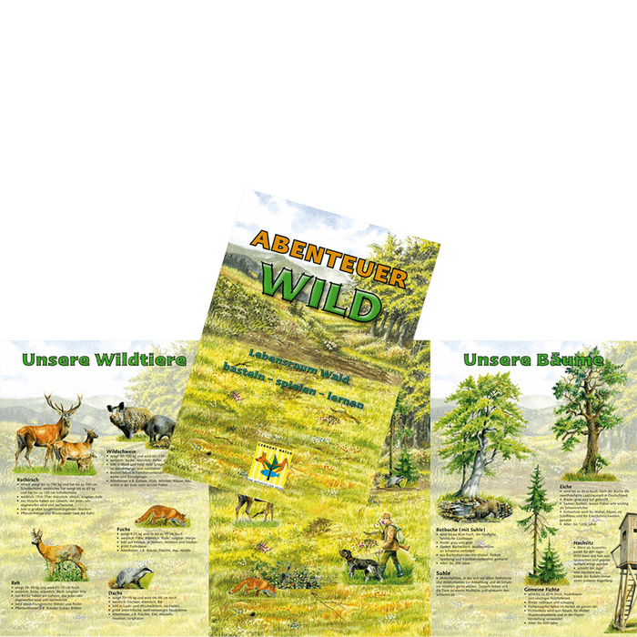 Spielset "Abenteuer Wild - Lebensraum Wald"