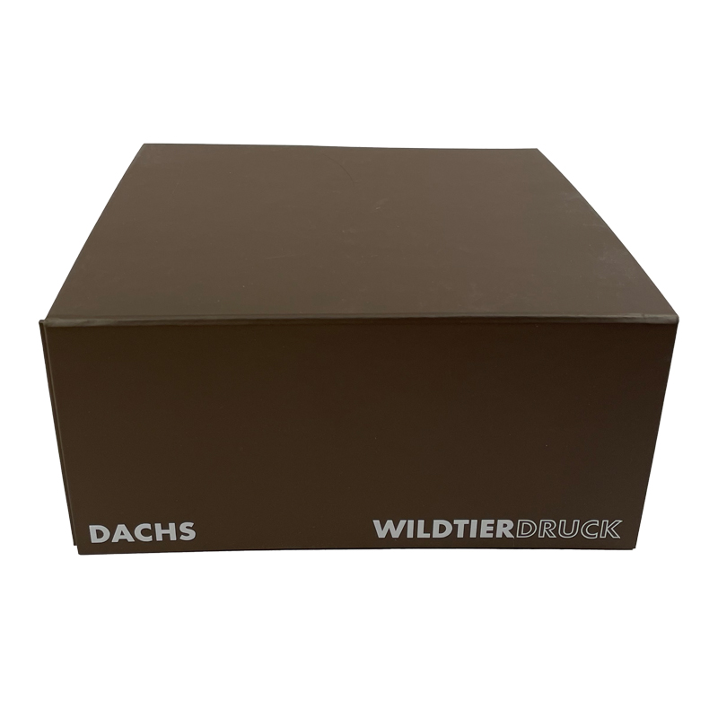 Dachsschädel-Replikat (lebensgroß)