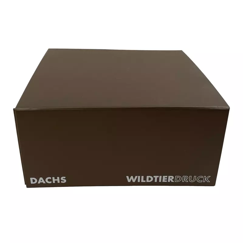 Dachsschädel-Replikat (lebensgroß)