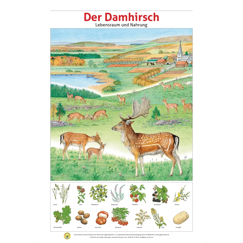Lernort Natur-Tafel-Set "Heimische Wildtiere - Lebensraum und Nahrung" (12 Tafeln)