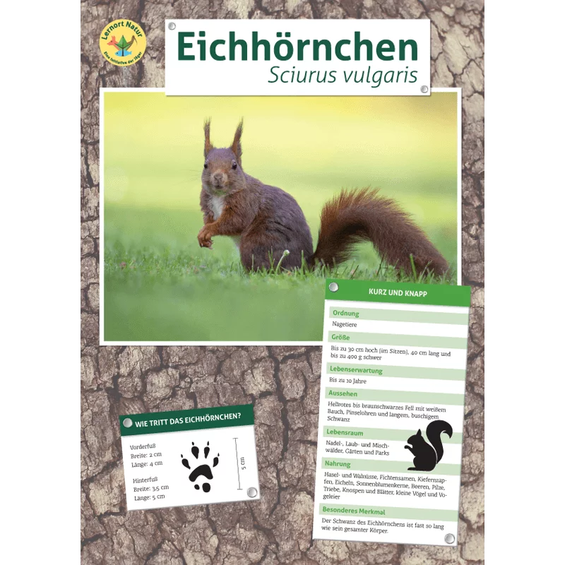 Tierposter im Format DIN A4 (Satz mit 22 Stück)