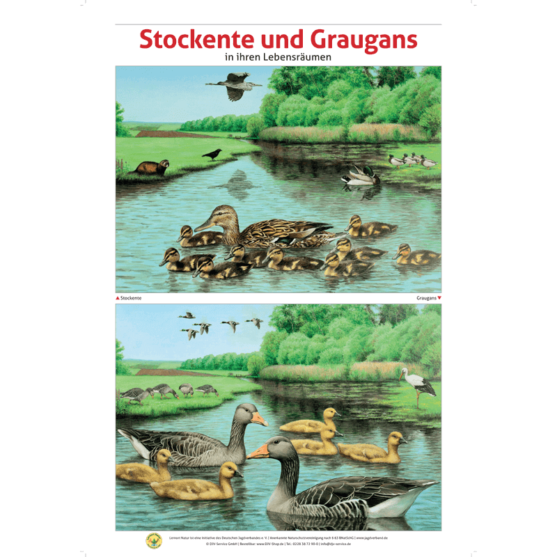 Lernort Natur-Tafel-Set "Heimische Wildtiere - Lebensraum und Nahrung" (12 Tafeln)