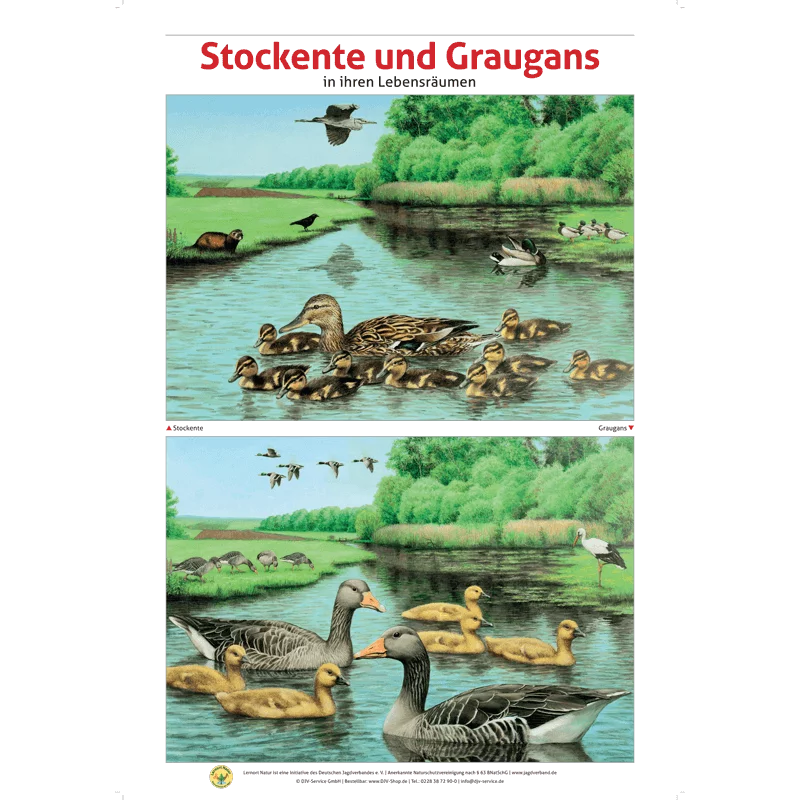 Lernort Natur-Tafel-Set "Heimische Wildtiere - Lebensraum und Nahrung" (12 Tafeln)