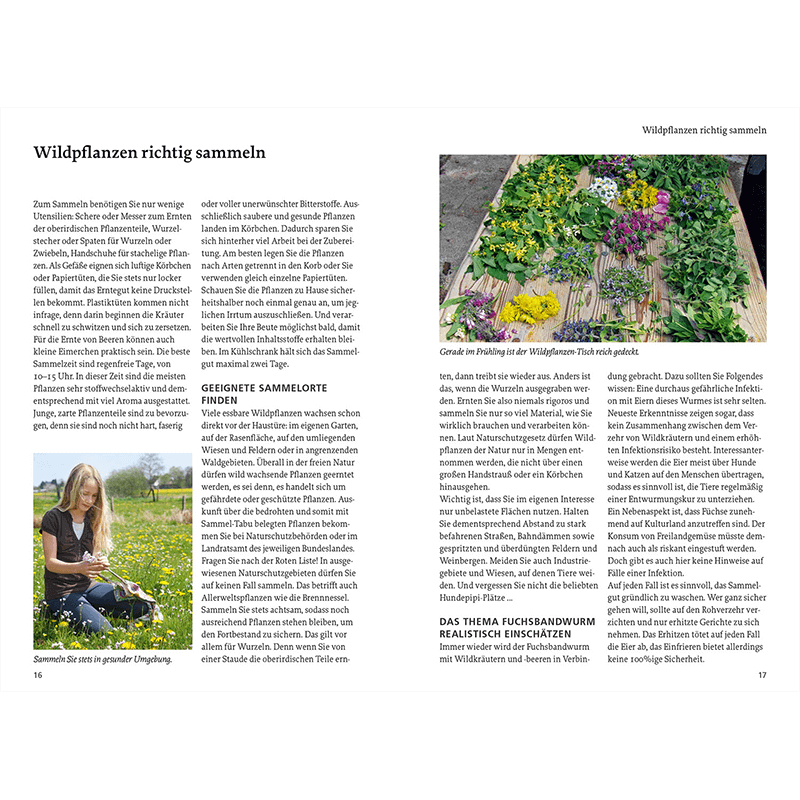Buch „Unsere essbaren Wildpflanzen“