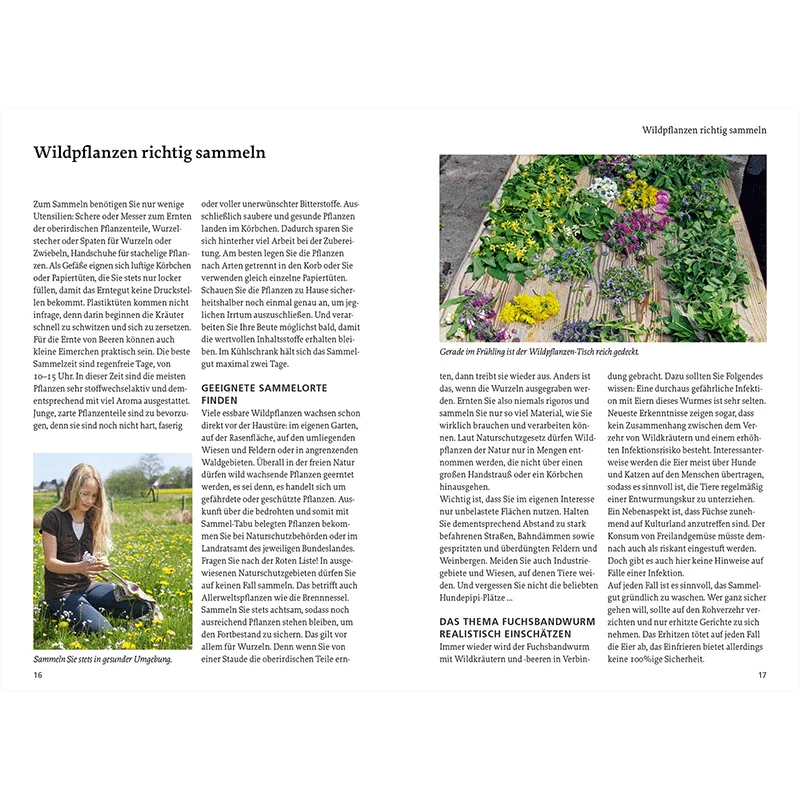 Buch „Unsere essbaren Wildpflanzen“