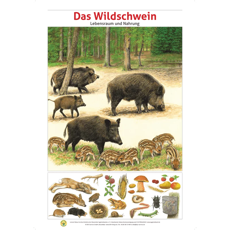 Lernort Natur-Tafel-Set "Heimische Wildtiere - Lebensraum und Nahrung" (12 Tafeln)