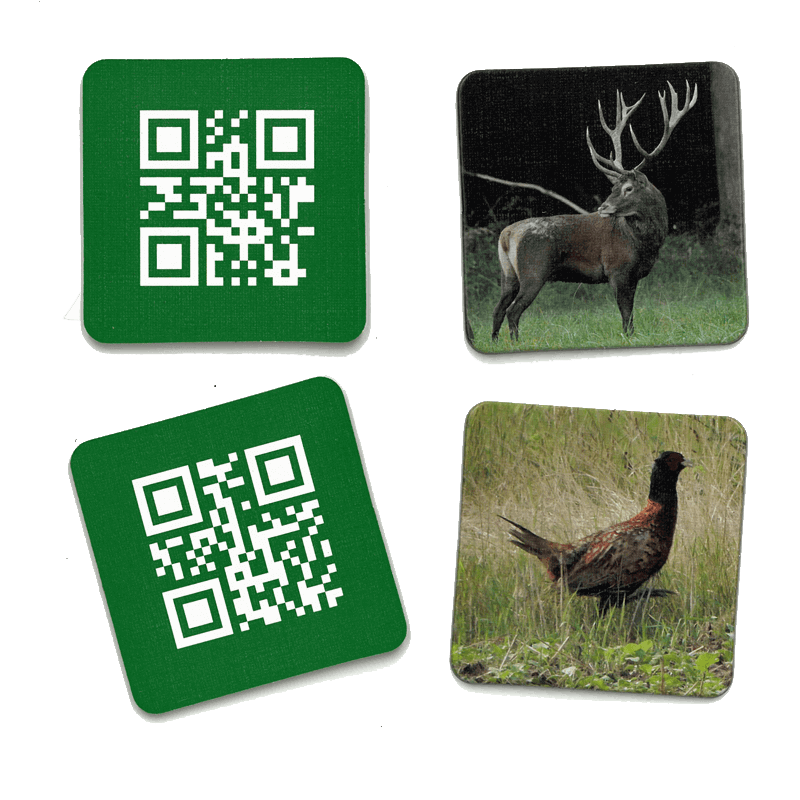 Kinder-Memo-Spiel "Wildtiere und ihre Stimmen"
