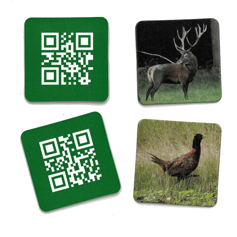 Kinder-Memo-Spiel "Wildtiere und ihre Stimmen"