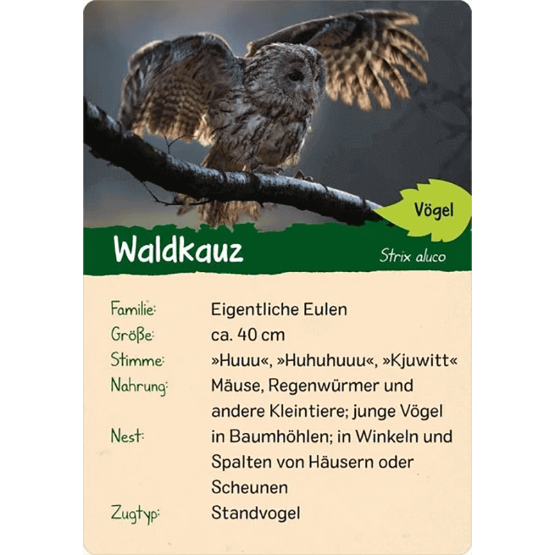 Kinder-Kartenspiel "Naturforscher Kids - Wald"