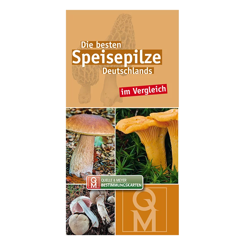 Bestimmungskarte „Die besten Speisepilze Deutschlands“