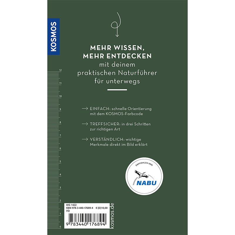 Buch "Basic Greifvögel & Eulen"