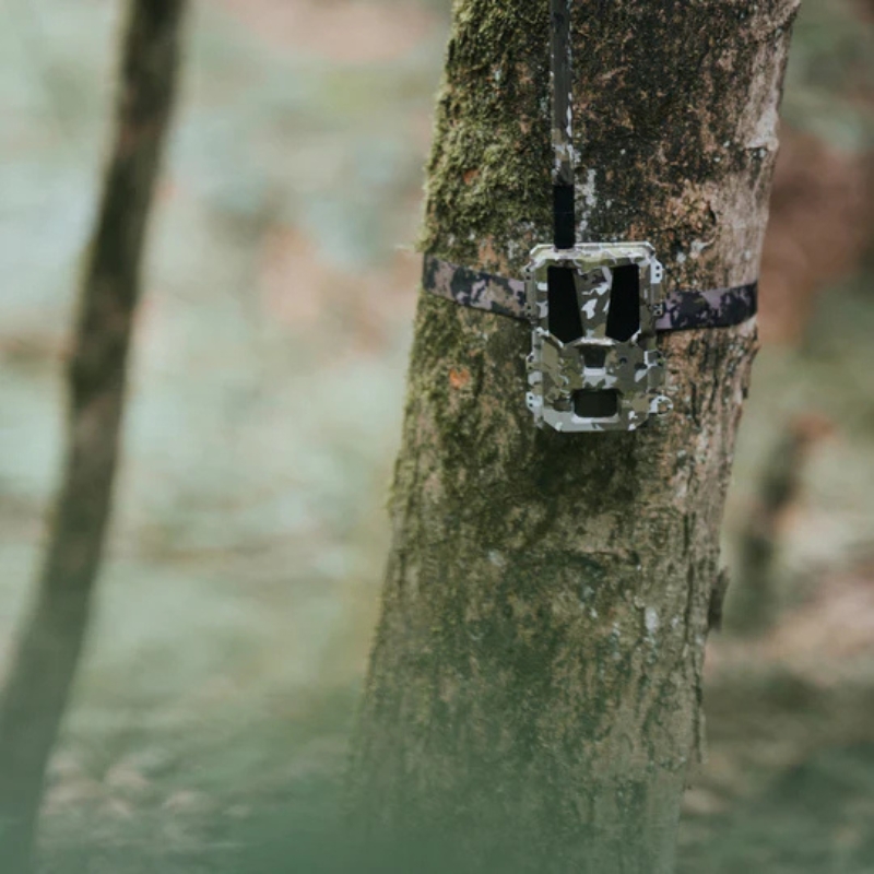 Modernhunter LTE-Wildkamera Hunter 4G Mini