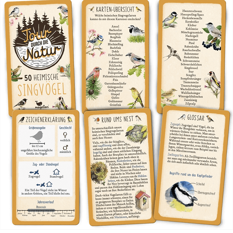 Karten-Spiel "Tour durch die Natur - Heimische Singvögel"