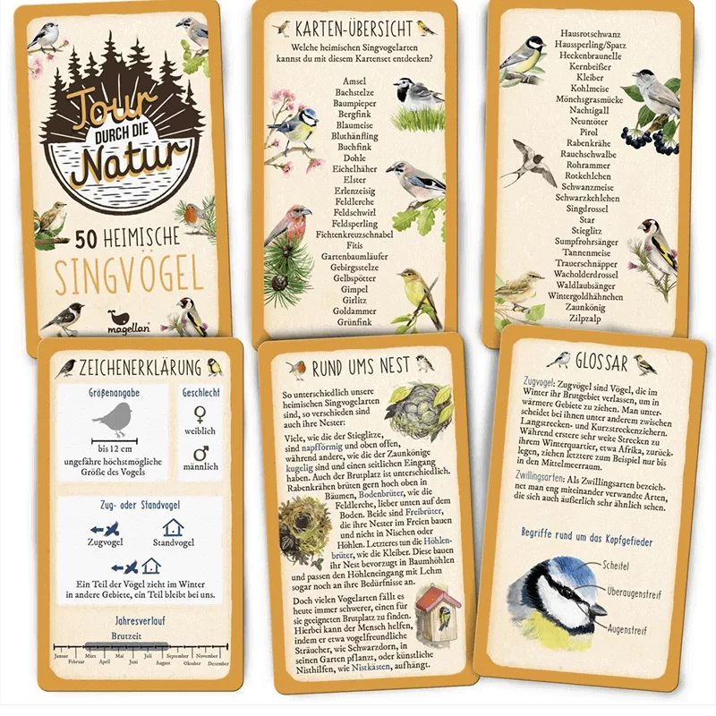 Karten-Spiel "Tour durch die Natur - Heimische Singvögel"