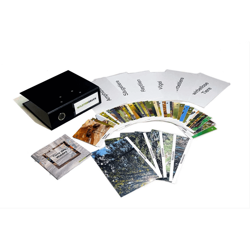 Spielset "Tiere des Waldes spielerisch entdecken"