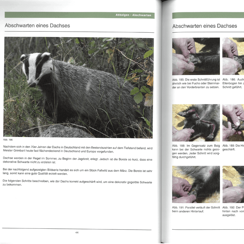 Buch "Handbuch der Trophäenbearbeitung"