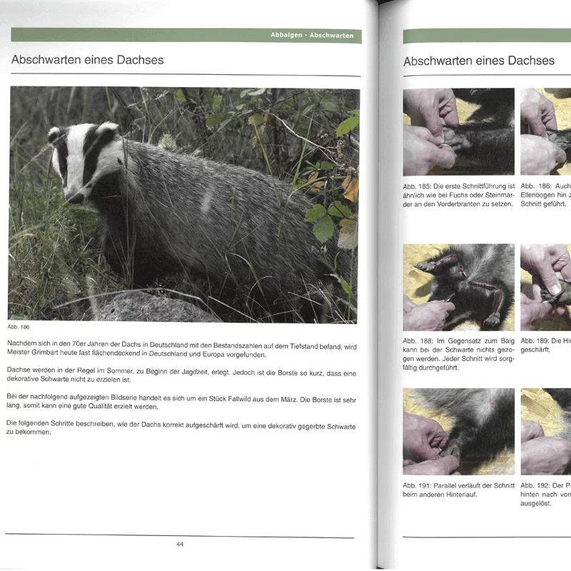 Buch "Handbuch der Trophäenbearbeitung"