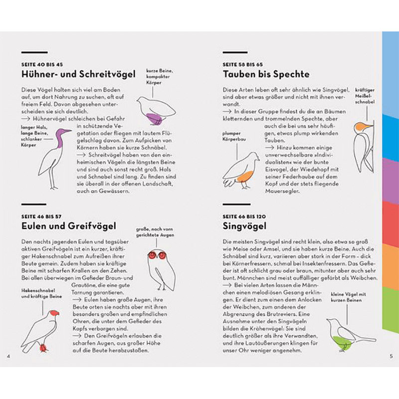 Buch "Basic Vögel"