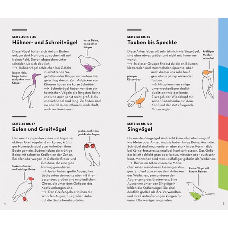 Buch "Basic Vögel"