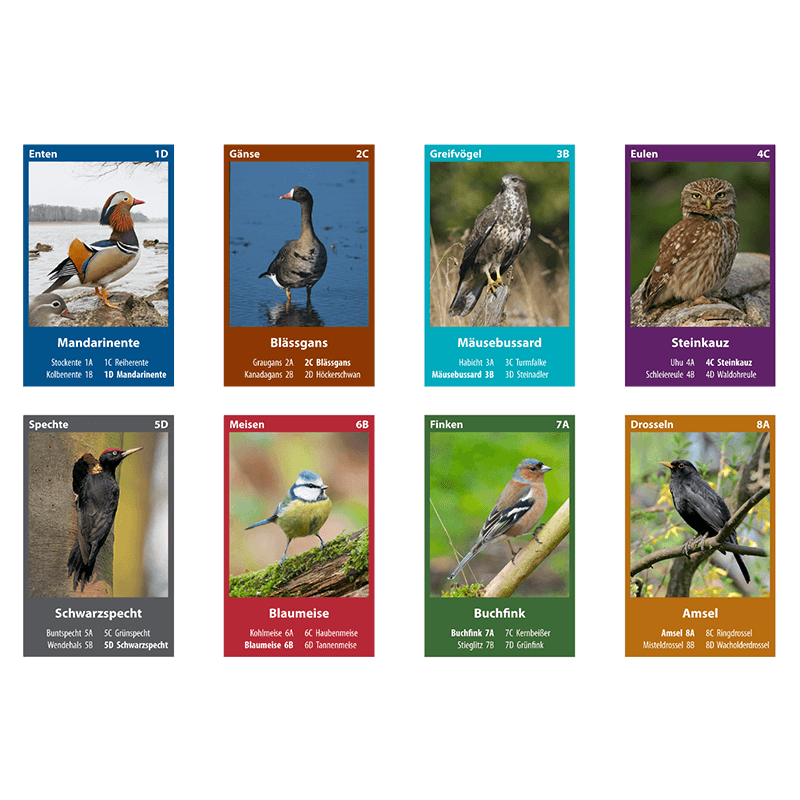 Naturquartett "Heimische Vögel"