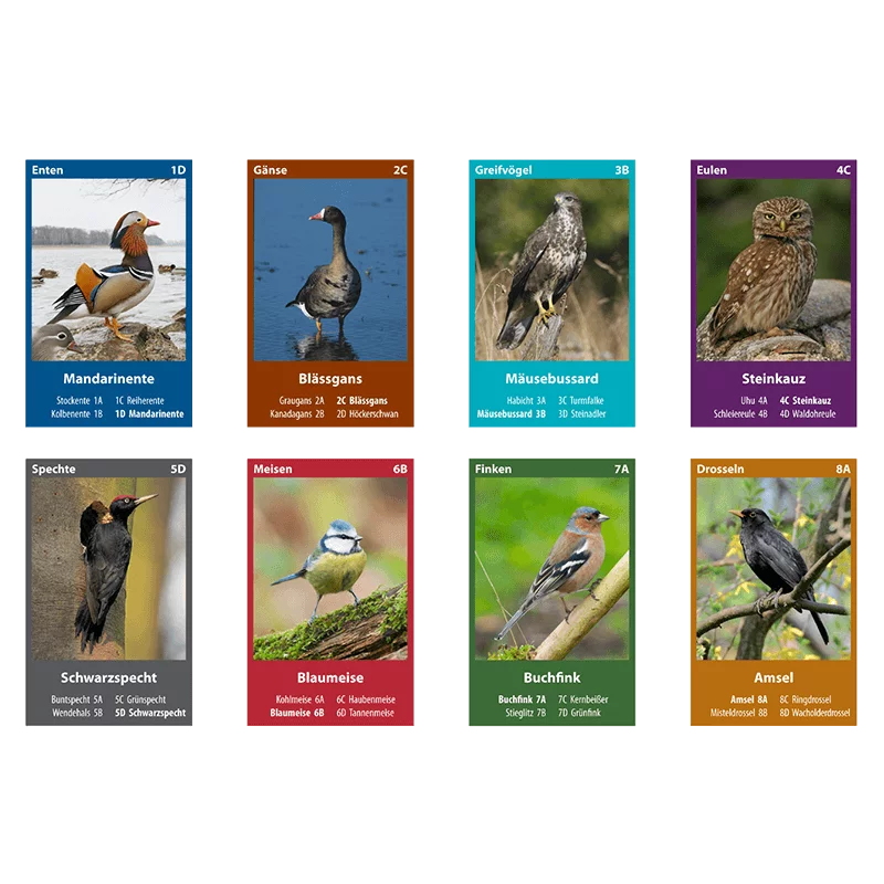 Naturquartett "Heimische Vögel"