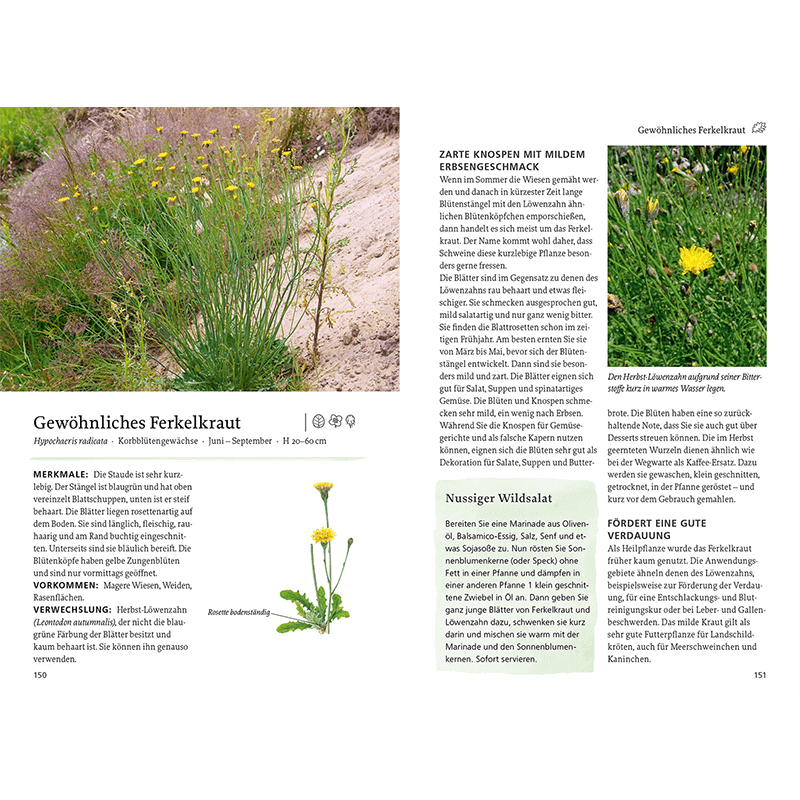 Buch „Unsere essbaren Wildpflanzen“