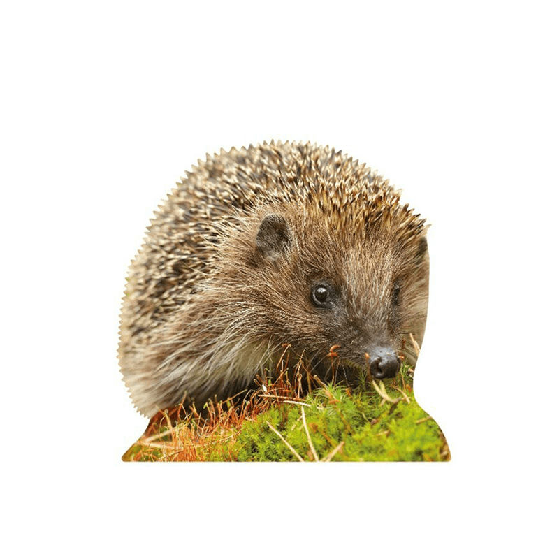 Tieraufsteller Igel