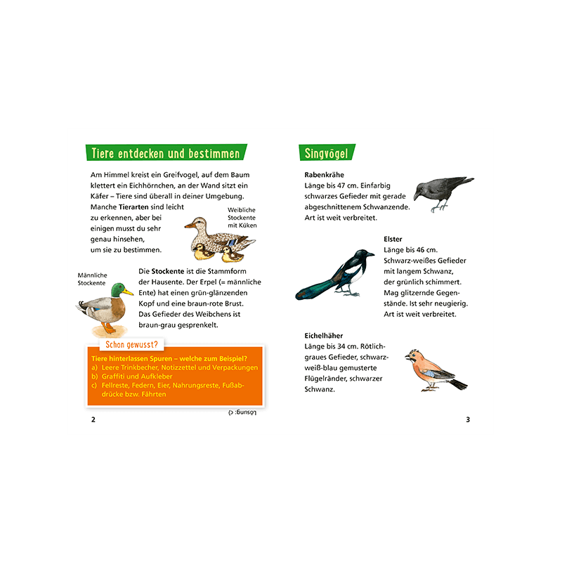 Kinderbuch "Pixi Wissen 30: Tiere erkennen"