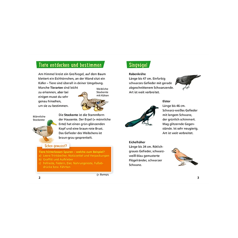 Kinderbuch "Pixi Wissen 30: Tiere erkennen"
