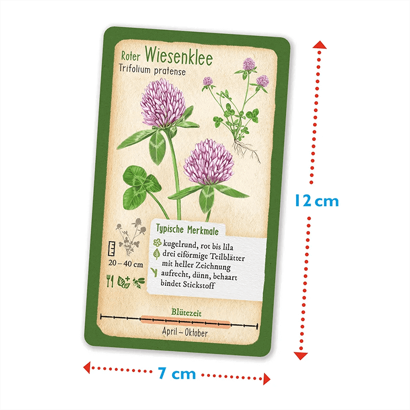 Spiel "Tour durch die Natur - Wald und Wiese"