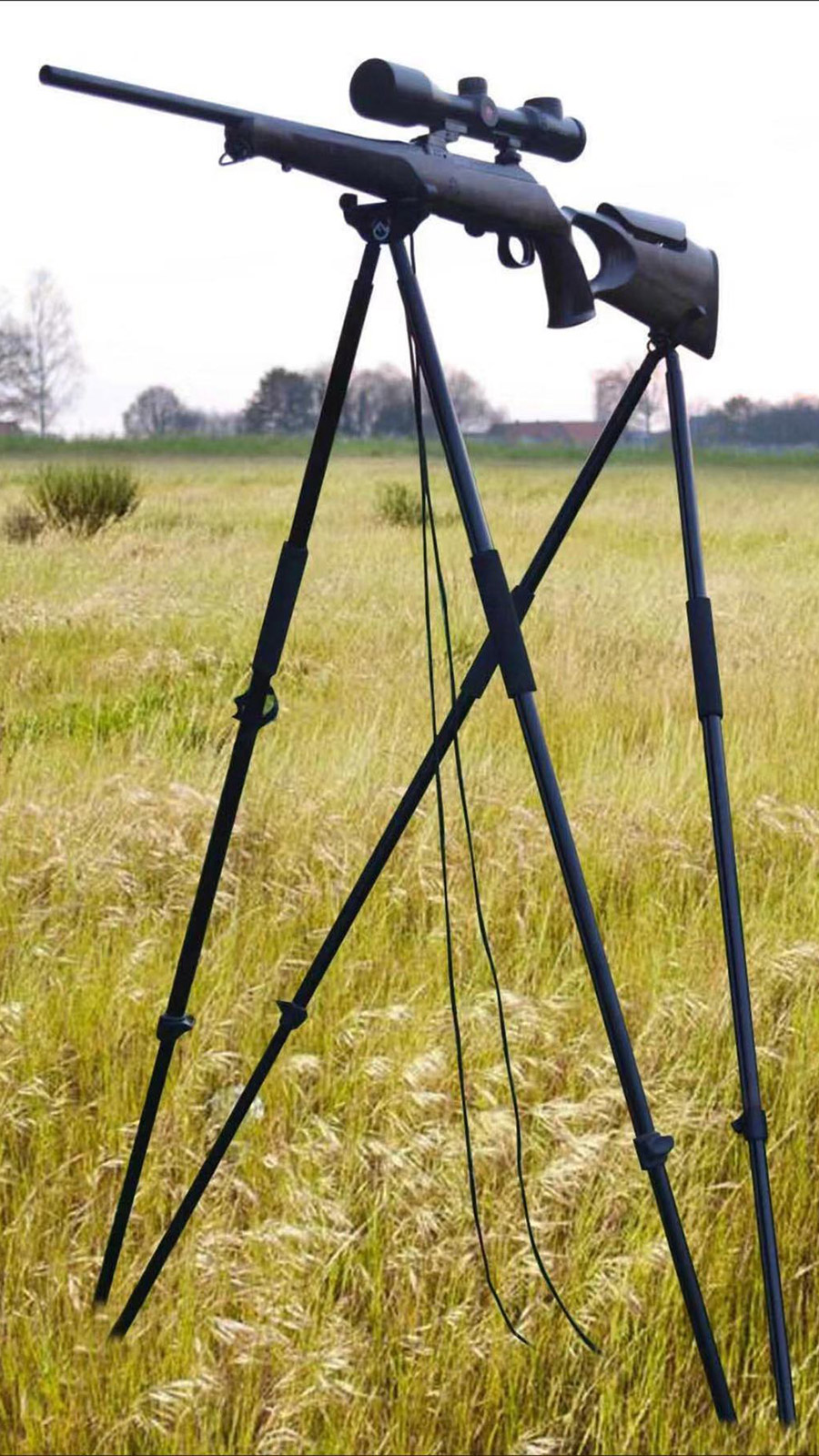 Flexibler Zielstock
