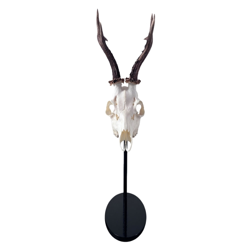 Trophäenständer