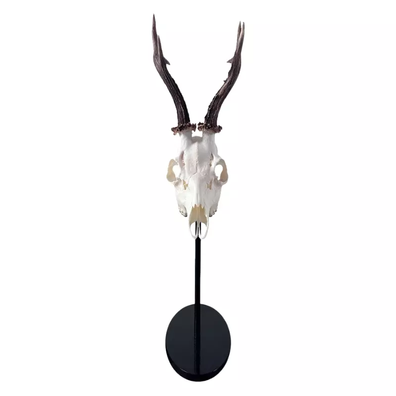 Trophäenständer 