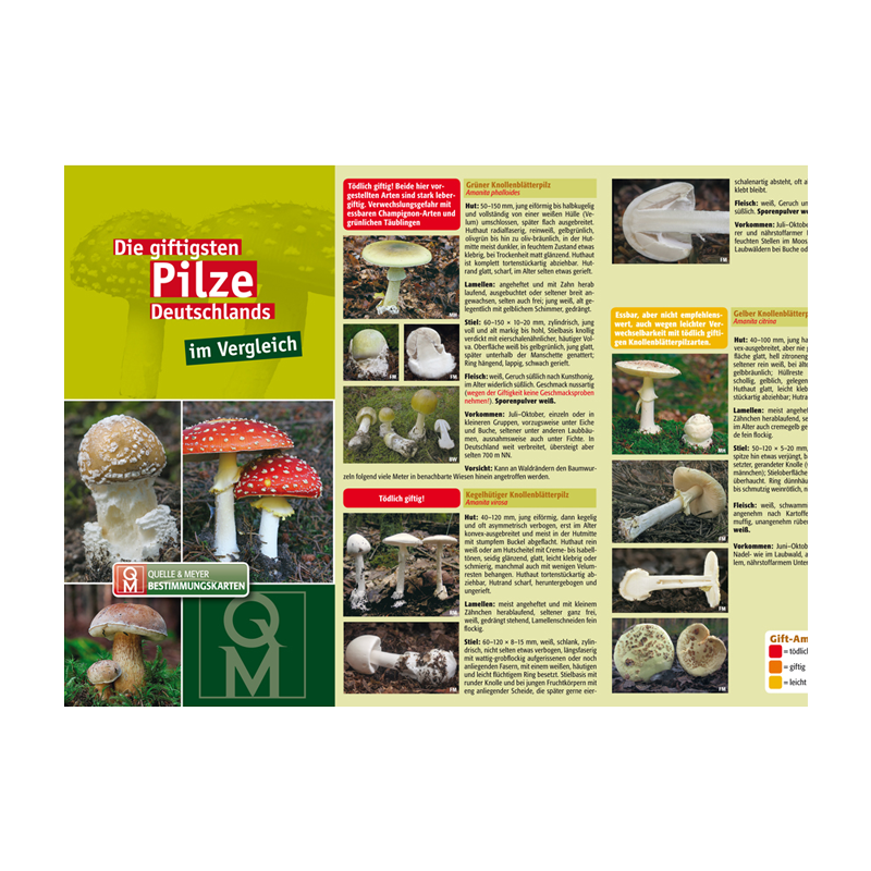 Bestimmungskarte „Die giftigsten Pilze Deutschlands“