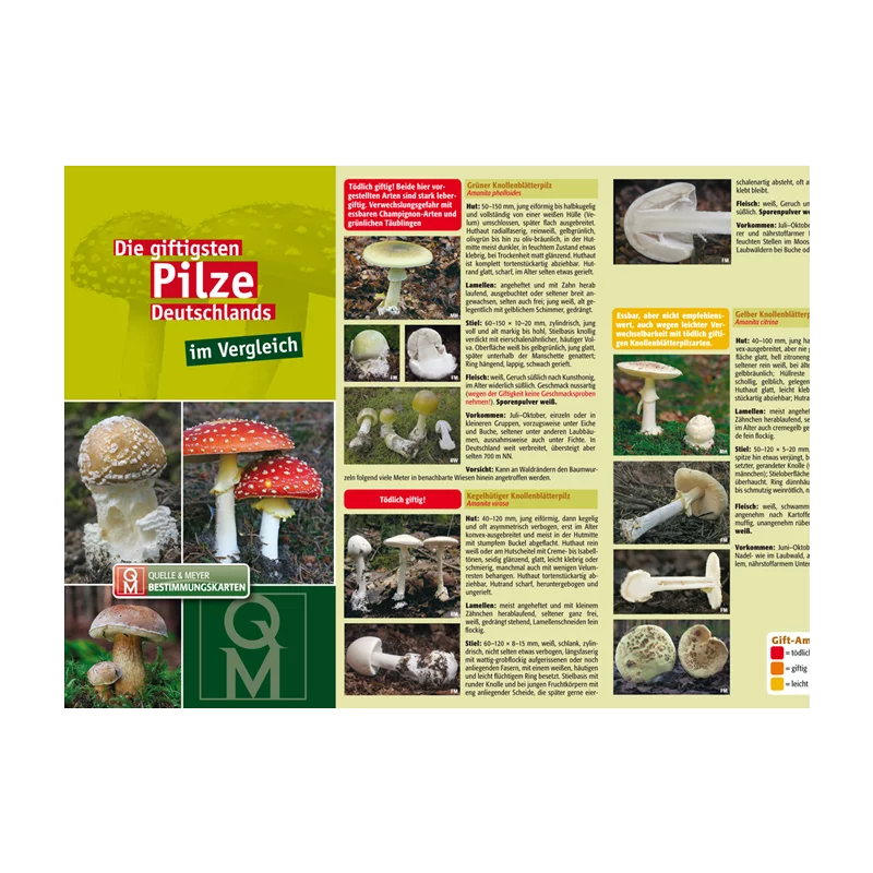 Bestimmungskarte „Die giftigsten Pilze Deutschlands“