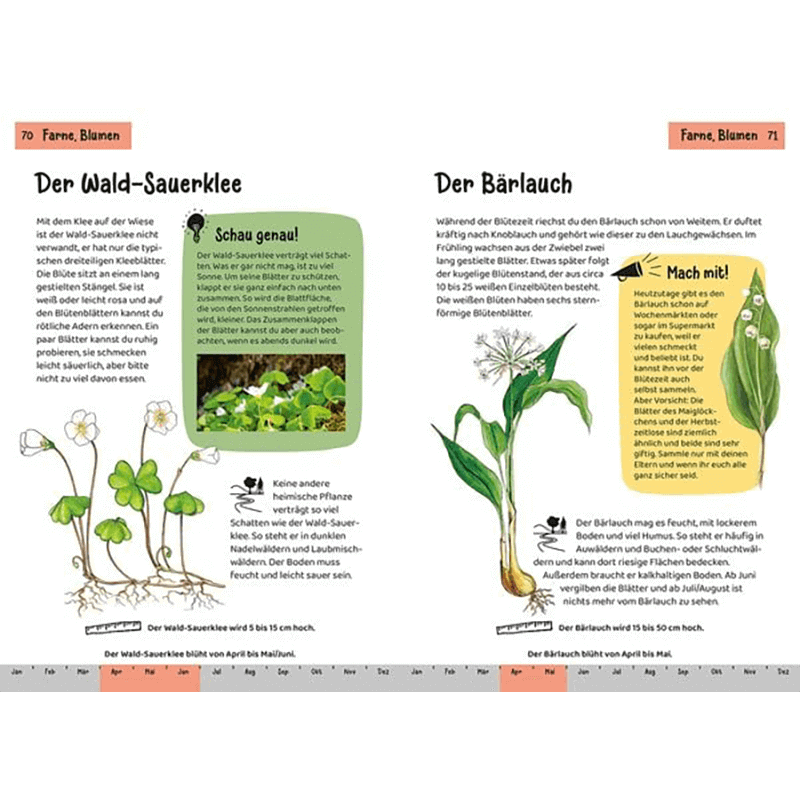 Kinderbuch „Kindernaturführer: Was lebt im Wald?“