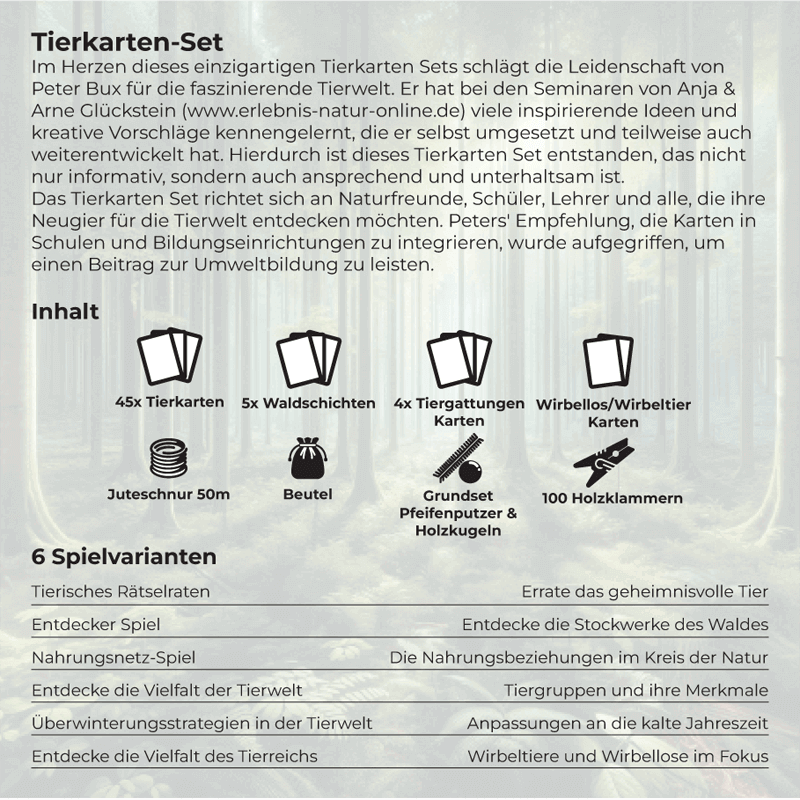 Spielset "Tiere des Waldes spielerisch entdecken"