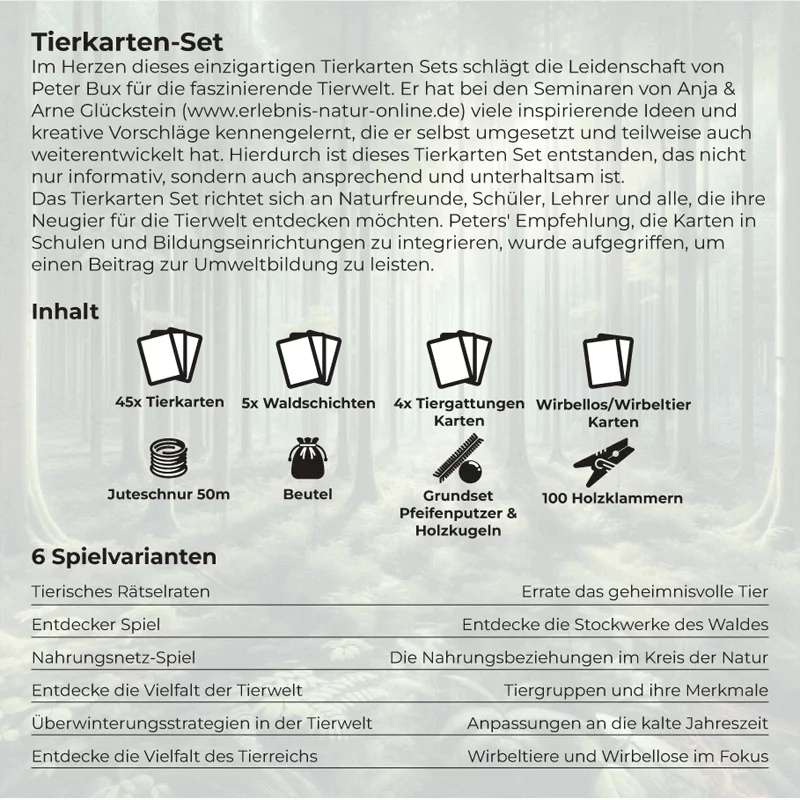 Spielset "Tiere des Waldes spielerisch entdecken"