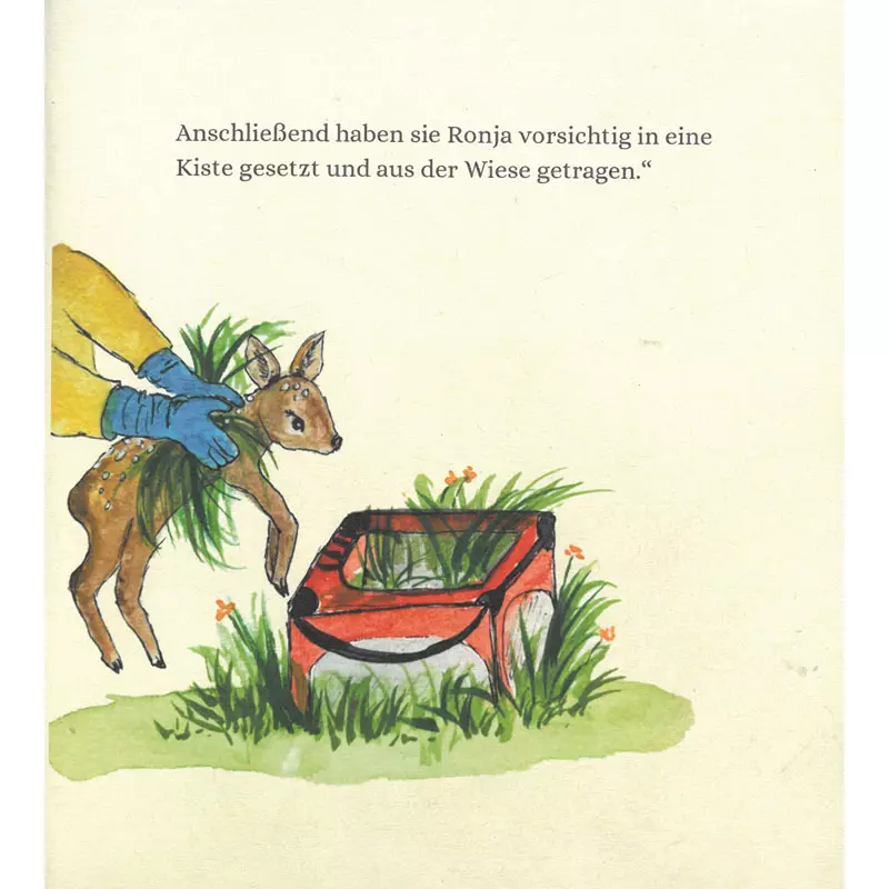 Kinderbuch "Rehkitz Ronja außer Gefahr"