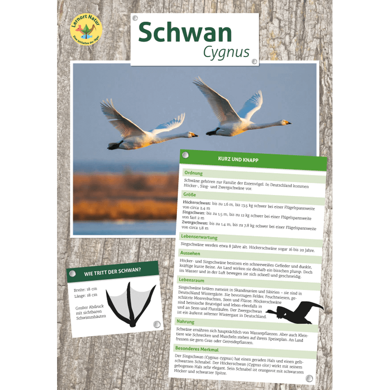 Tierposter im Format DIN A4 (Satz mit 22 Stück)