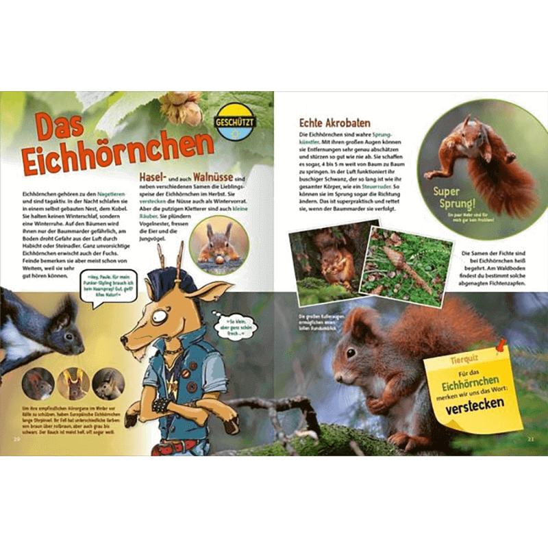 Kinderbuch "Jetzt verstehe ich die Tiere des Waldes"