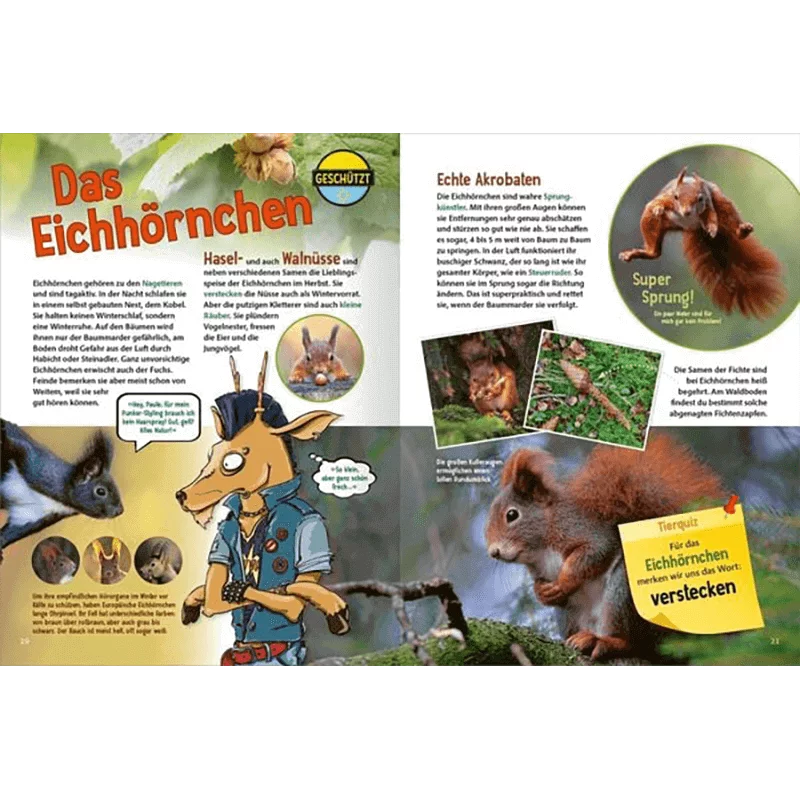 Kinderbuch "Jetzt verstehe ich die Tiere des Waldes"