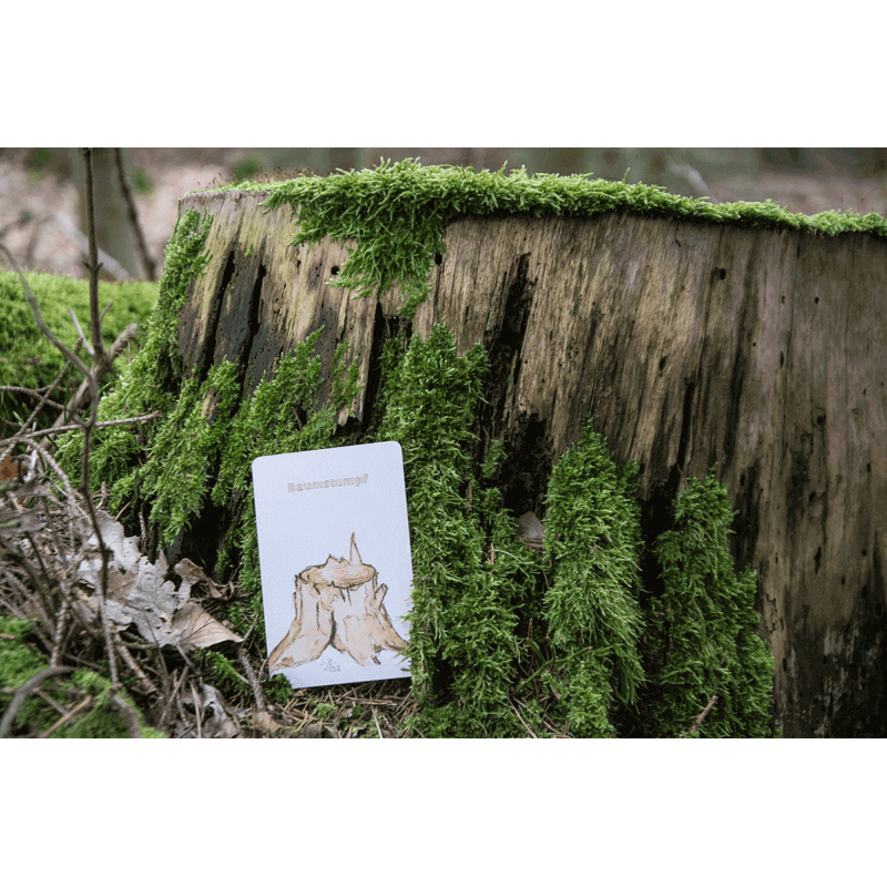 Lernort Natur Draußen-Suchspiel "Wir wollen Natur finden"