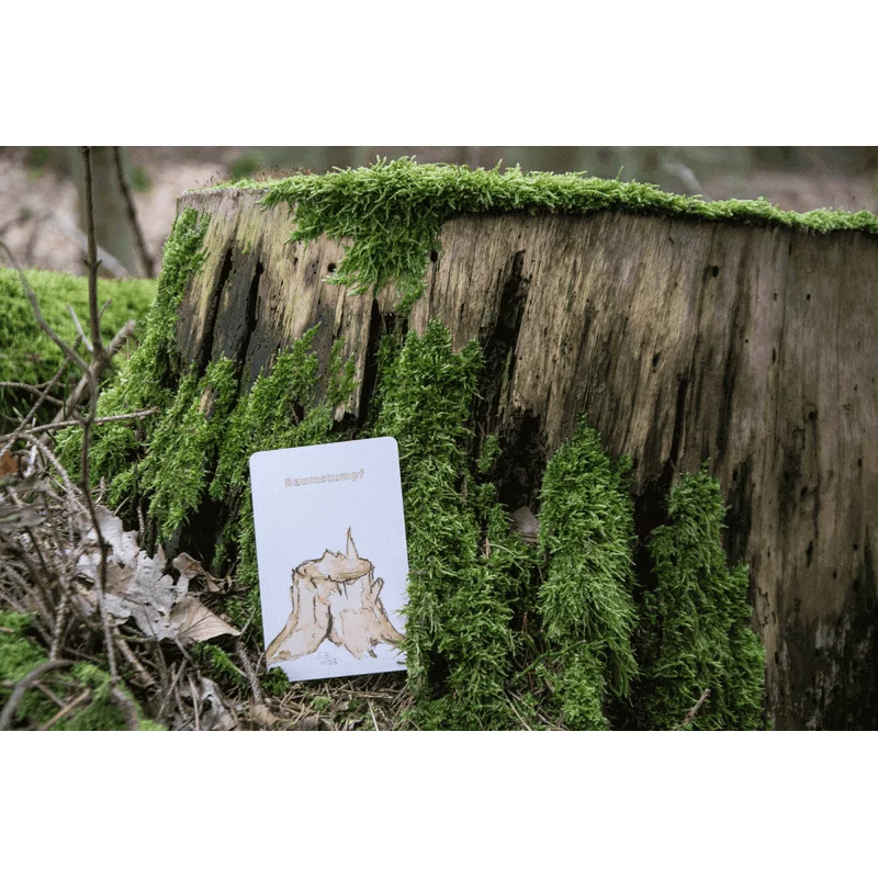 Lernort Natur Draußen-Suchspiel "Wir wollen Natur finden"