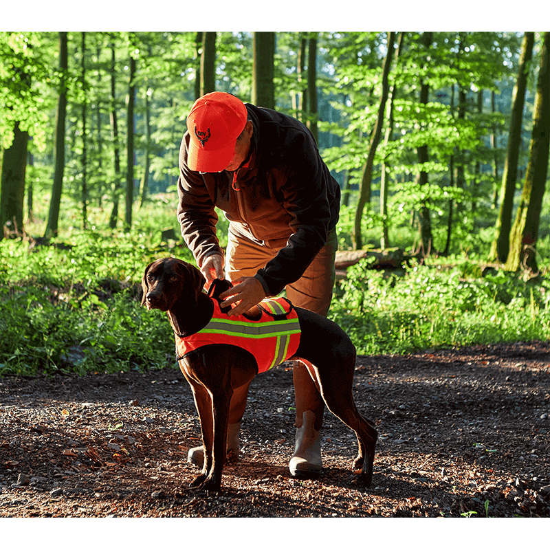 Signal-Hundeweste mit Trackerfach