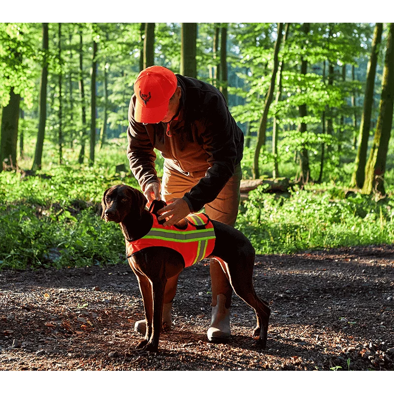 Signal-Hundeweste mit Trackerfach