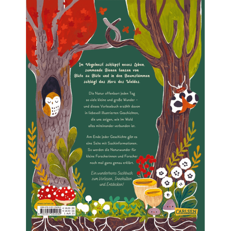 Kinderbuch "Kleine und große Wunder der Natur"
