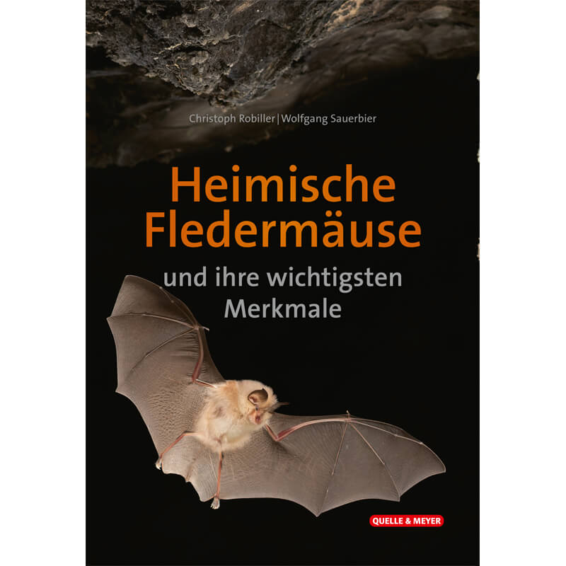 Bestimmungskarte "Heimische Fledermäuse und ihre wichtigsten Merkmale"